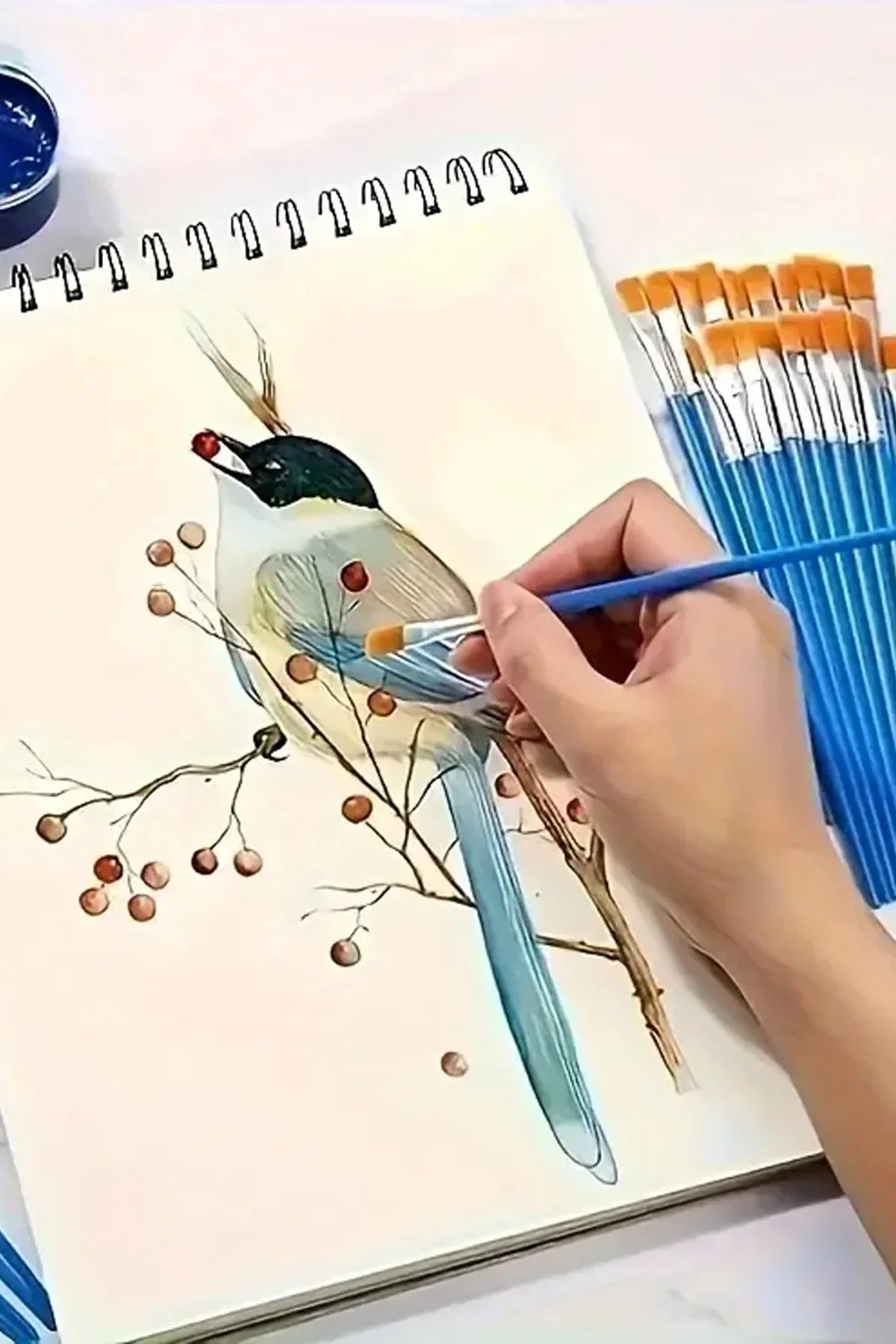 Görsel alternatif metni