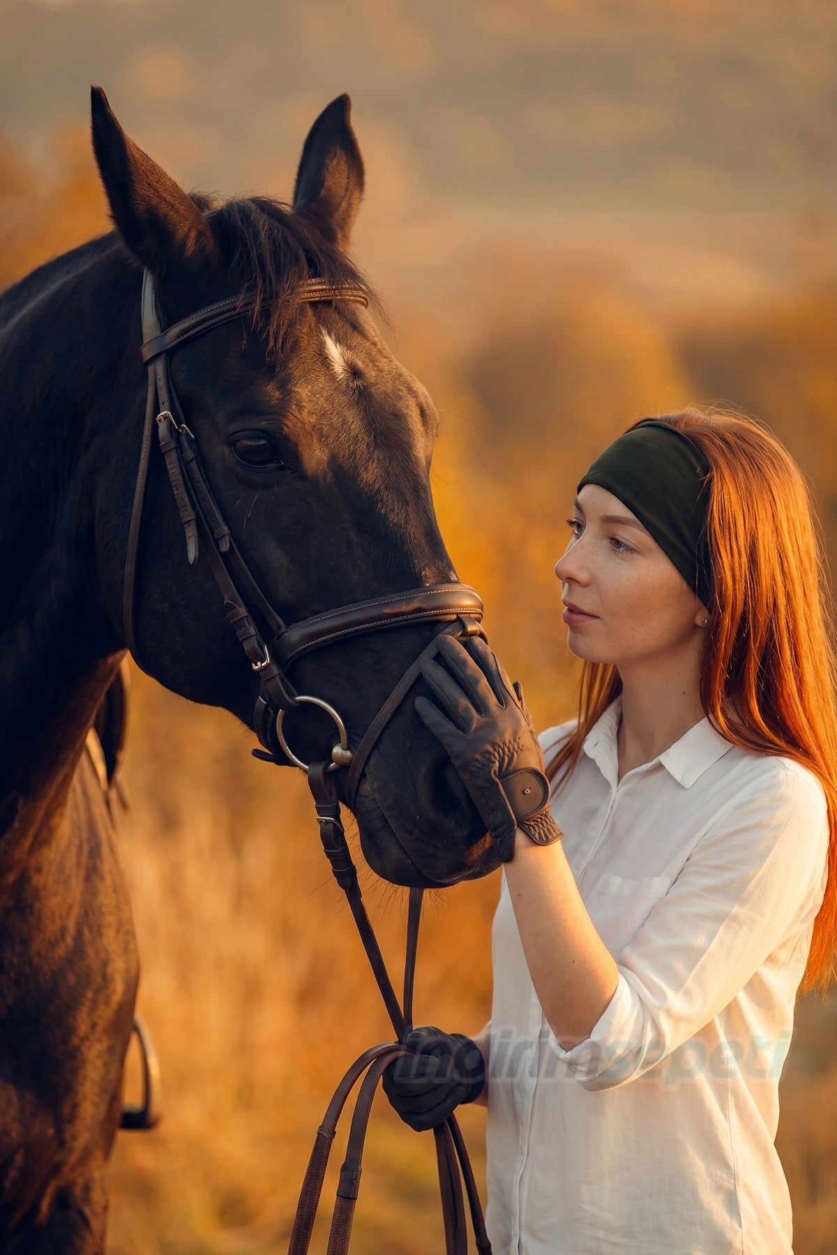 Görsel alternatif metni