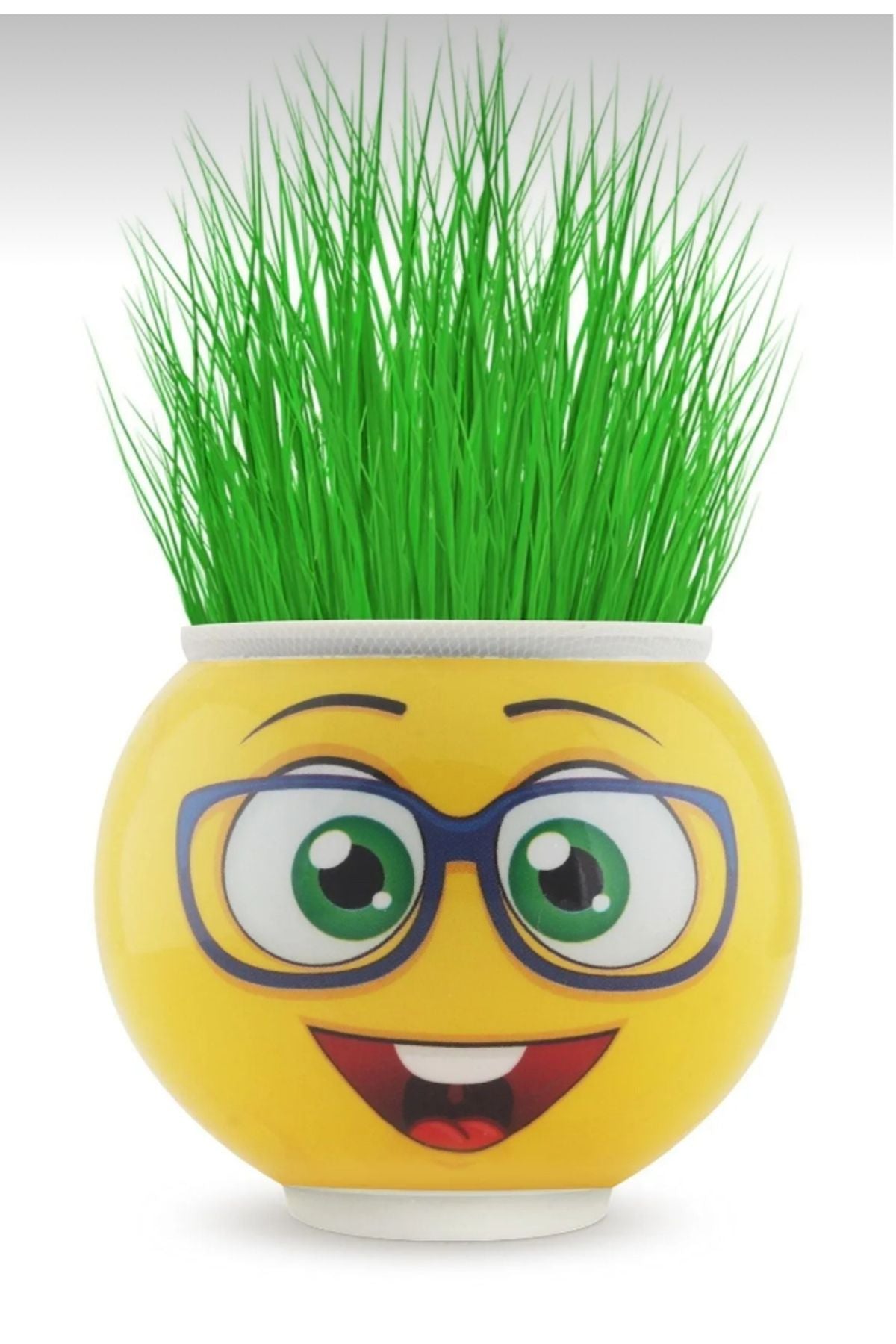 Görsel alternatif metni